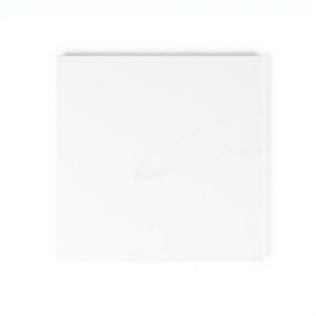 Porcelanato Pulido Nevada 60x60